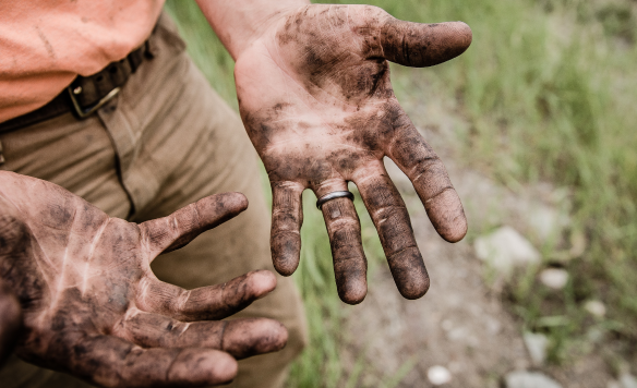 shutterstock_1362964427 Rechthoek 1 1