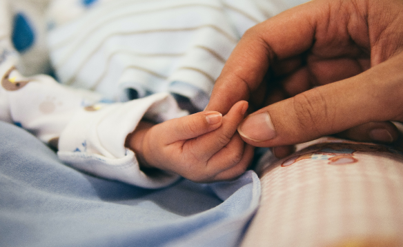 shutterstock_1858848811 Rechthoek 2 1